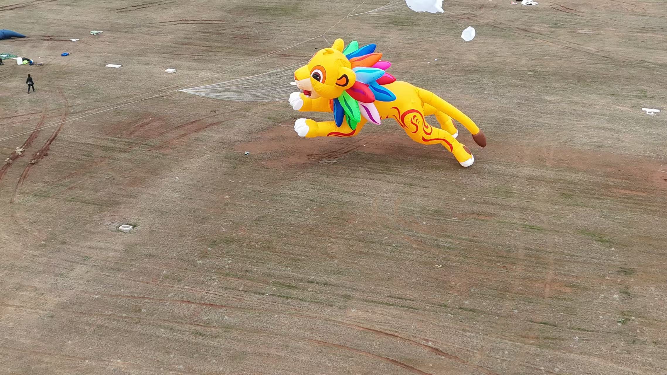 北海市品牌风筝定制风筝商业放飞 - 价格