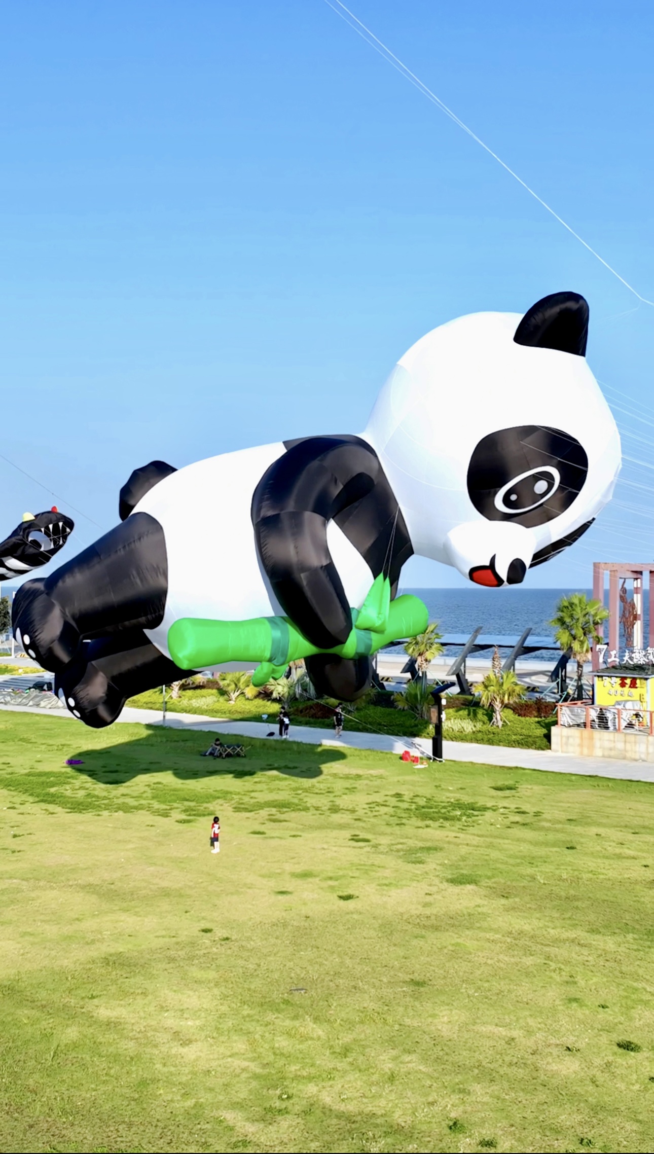 北海市风筝商业放飞风筝放飞活动策划 - 方案
