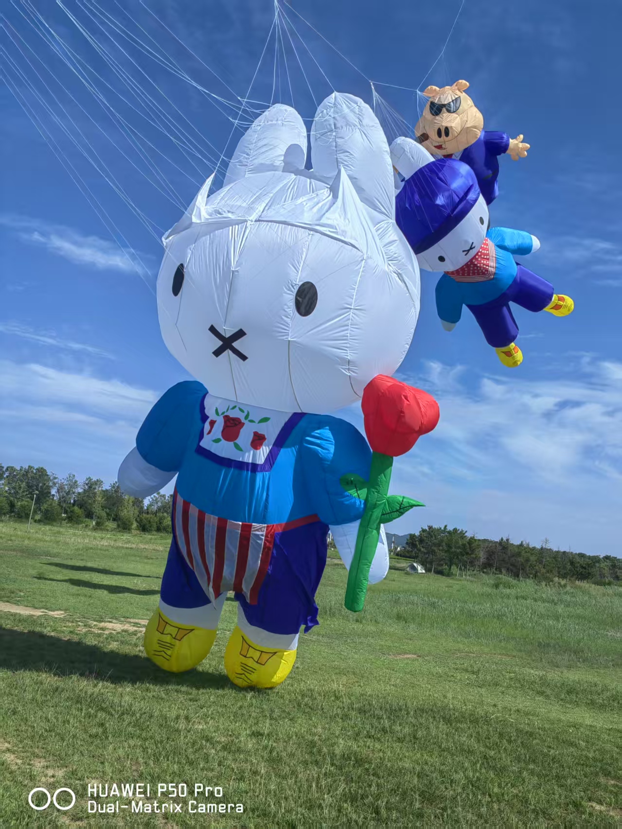 北海市儿童风筝定制风筝批发 - 一站式服务